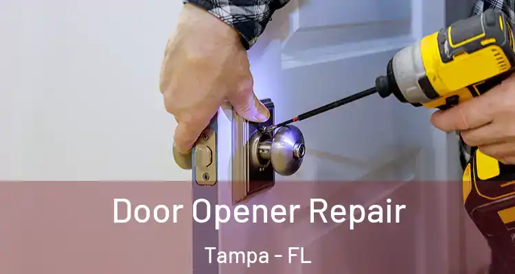  Door Opener Repair Tampa - FL