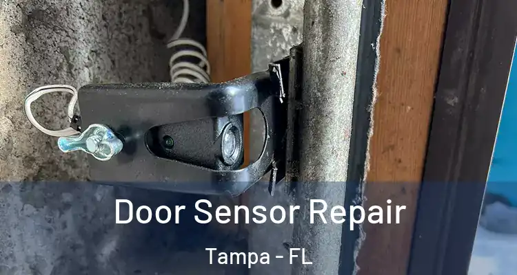  Door Sensor Repair Tampa - FL