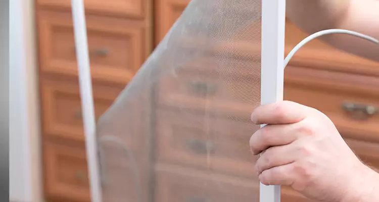 Privacy Mesh Screen Door Installation in Tampa, FL