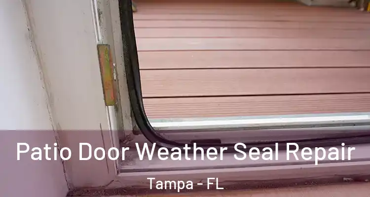  Patio Door Weather Seal Repair Tampa - FL