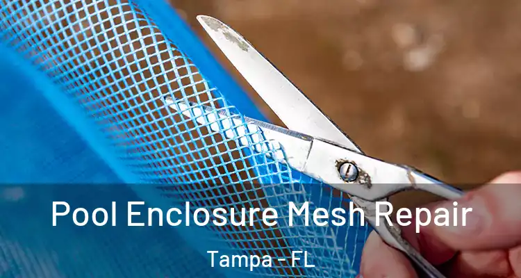  Pool Enclosure Mesh Repair Tampa - FL
