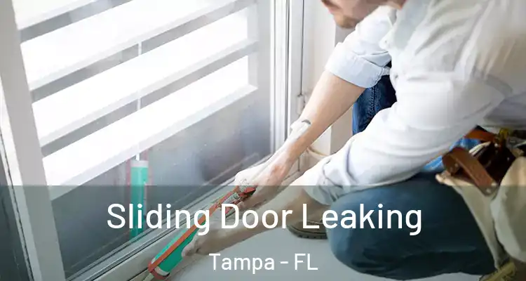  Sliding Door Leaking Tampa - FL