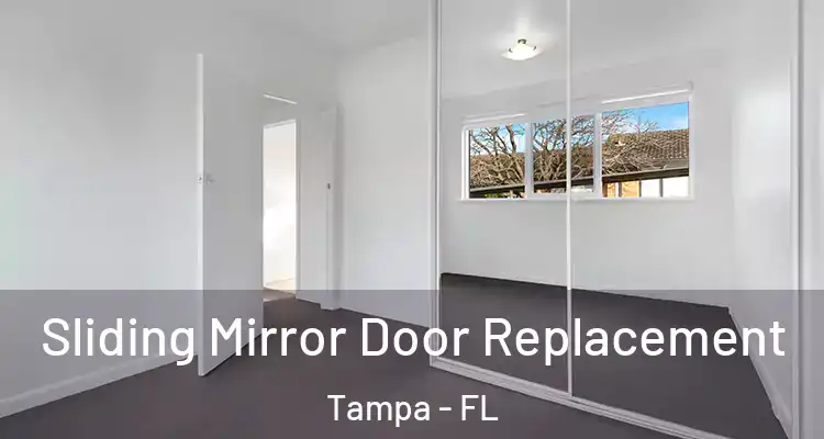  Sliding Mirror Door Replacement Tampa - FL