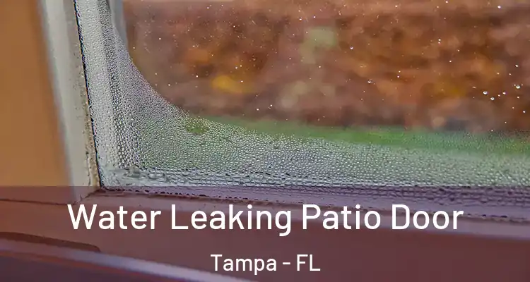  Water Leaking Patio Door Tampa - FL