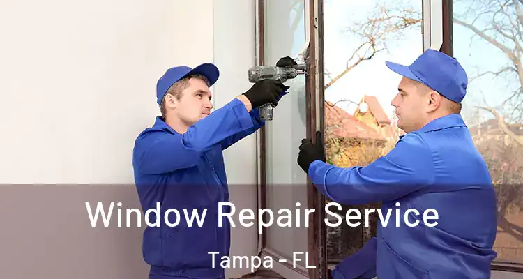  Window Repair Service Tampa - FL